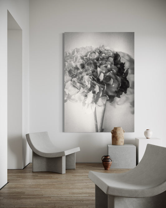 Photo Flower Hydrangea I-print