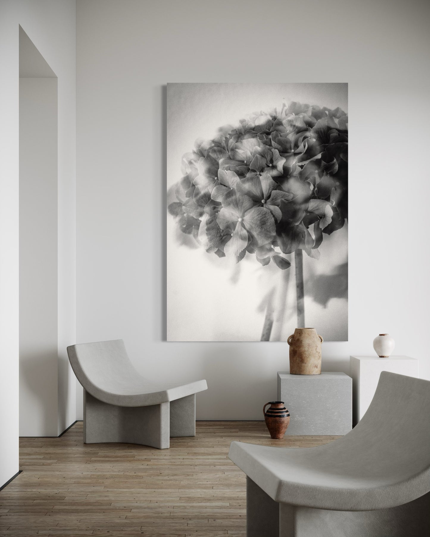 Photo Flower Hydrangea III print